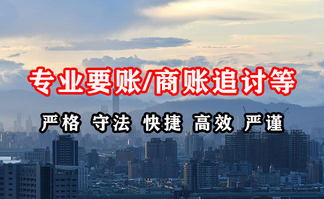 舞阳清账公司